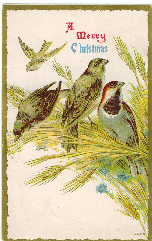 Vintage Victorian Christmas Card with Birds and Wheat Sheaf