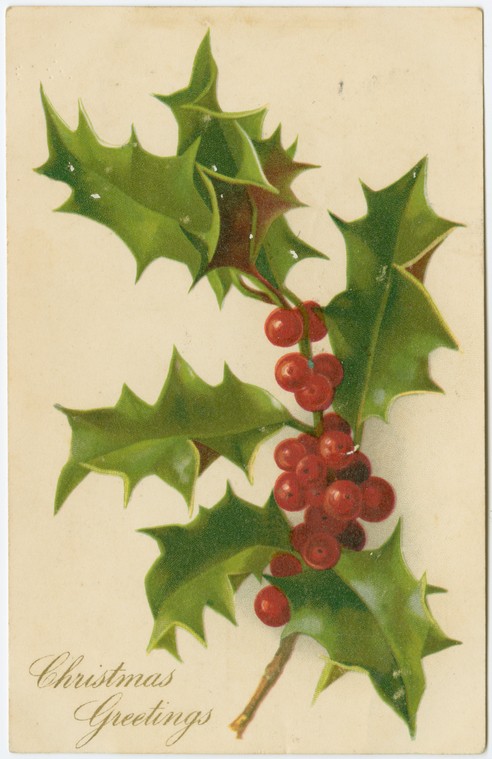 Edwardian Christmas Greetings Card Holly Berries Chromolithograph