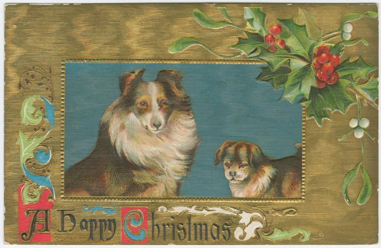 Victorian Christmas Postcard Collie Dog & Puppy Embossed Gold Holly