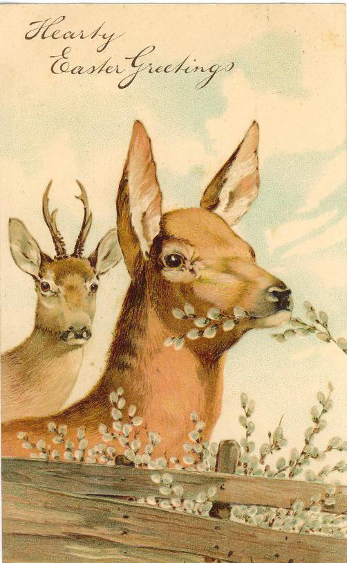 Vintage Easter Greeting Card with Deer and Pussy Willow
