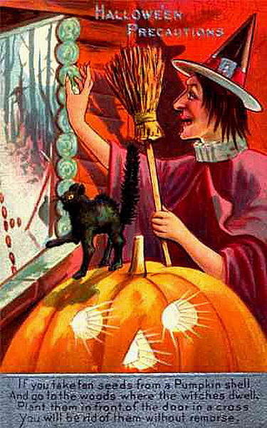Vintage Halloween Precautions Witch Pumpkin Greeting Card