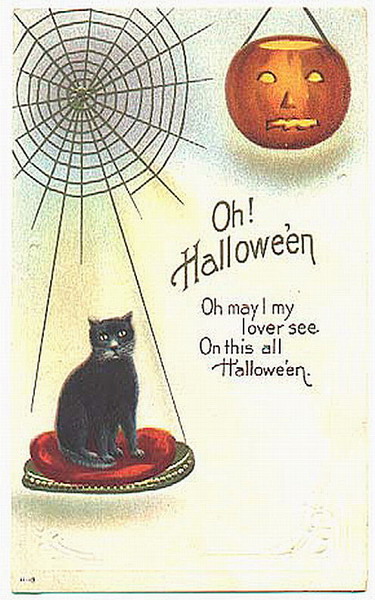 Vintage Halloween Greeting Card Black Cat Spider Web Jack O'Lantern