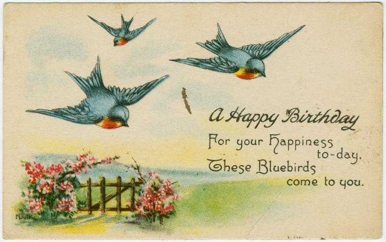 Vintage Birthday Bluebirds Greeting Card | Edwardian Era
