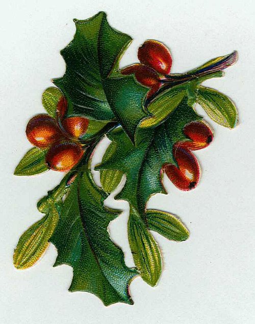 Victorian Holly & Berries Christmas Card - Vintage Chromolithograph