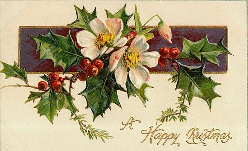 Victorian Christmas Holly Greeting Card with White Flowers