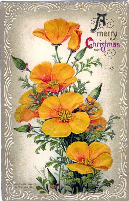 Victorian Era Christmas Card with Golden California Poppies - Ornate Border