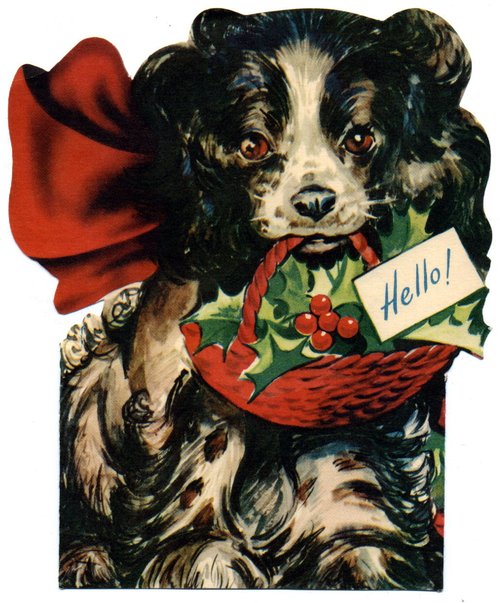 Vintage Spaniel Dog Christmas Greeting Card 'Hello!'