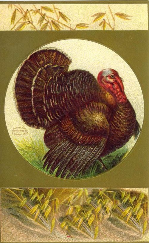 Vintage Turkey Thanksgiving Greeting Card Victorian Era
