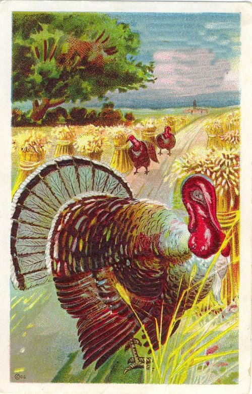Vintage Thanksgiving Turkey Card Harvest Field Scene