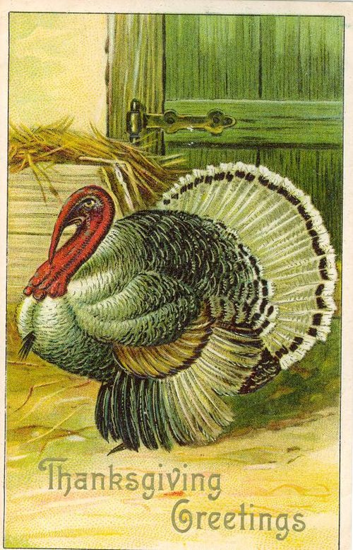 Vintage Thanksgiving Turkey Greeting Card | Early 1900s Chromolithograph