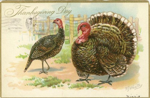 Vintage Thanksgiving Day Greeting Card with Wild Turkeys