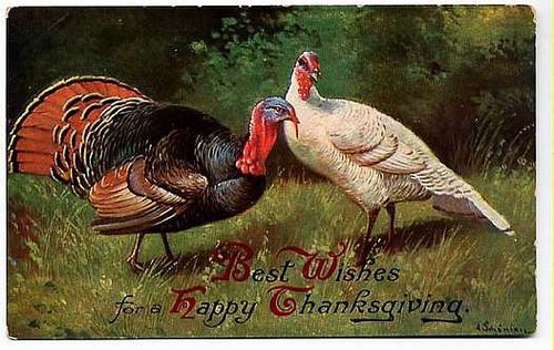 Vintage Thanksgiving Greeting Card with Turkeys