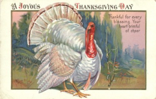 Vintage Thanksgiving Turkey Card – Edwardian Era Greeting