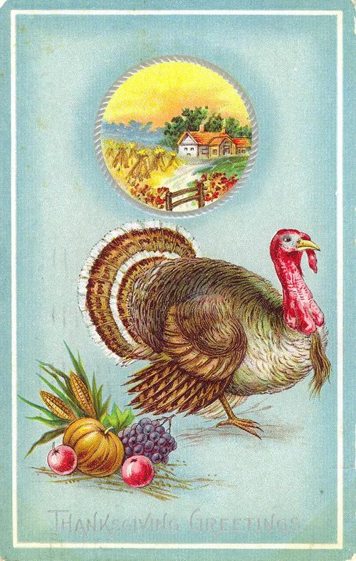 Vintage Thanksgiving Turkey Greeting Card | Rural Farm Scene