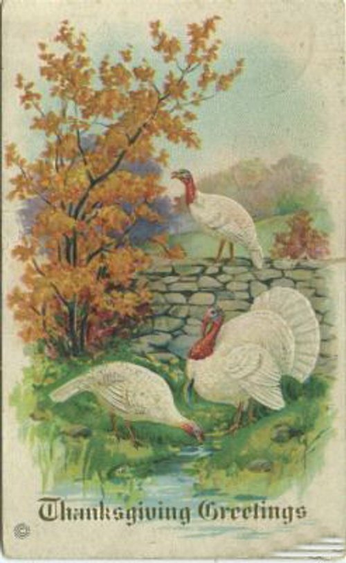 Vintage Thanksgiving Greetings Card with Turkeys & Autumn Tree