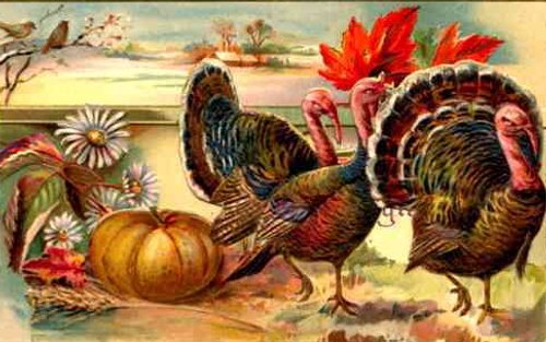 Victorian Thanksgiving Turkey Greeting Card with Pumpkin