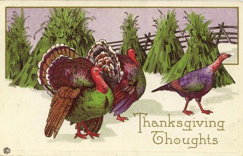 Vintage Thanksgiving Greeting Card with Wild Turkeys & Pheasant