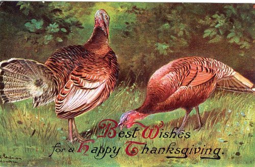 Vintage Thanksgiving Greeting Card with Wild Turkeys