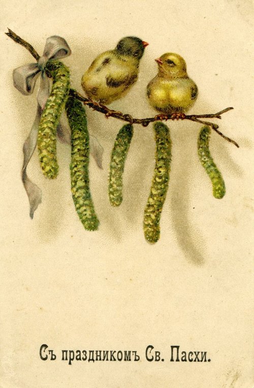 Vintage Easter Greeting Card with Chicks and Catkins