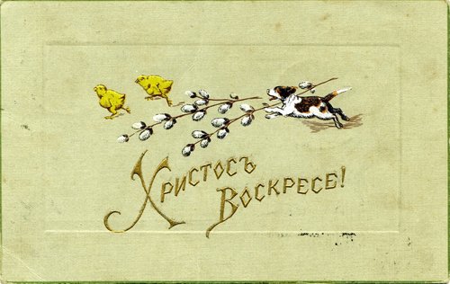 Russian Easter Greeting Card with Chicks & Pussy Willow