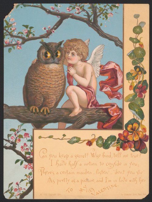 Victorian Valentine Card: Cherub & Owl Secret Love Greeting