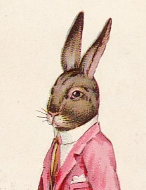 Victorian Anthropomorphic Rabbit in Pink Jacket Greeting Card
