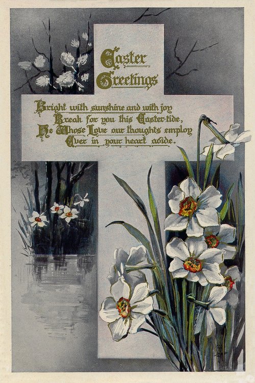Edwardian Easter Greetings Card with White Daffodils