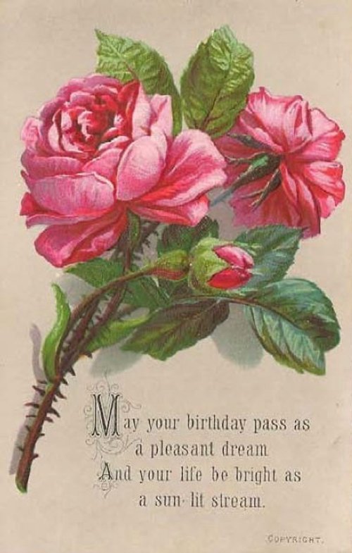 Victorian Birthday Greeting Card with Pink Roses