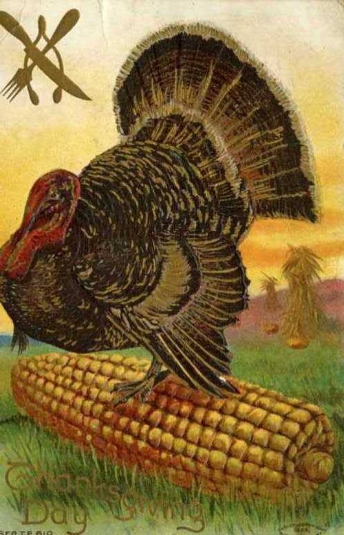Vintage Thanksgiving Turkey on Corn Greeting Card