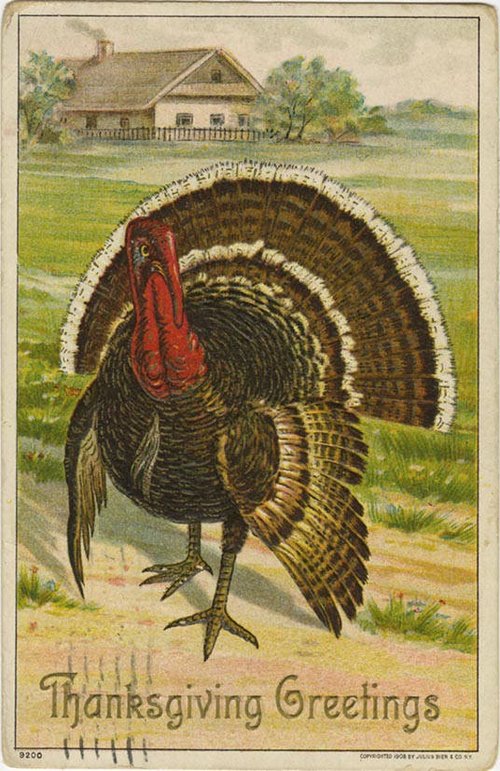 Vintage Thanksgiving Turkey Greeting Card Early 1900s