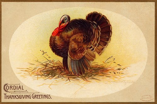 Vintage Cordial Thanksgiving Turkey Greeting Card - Victorian Era