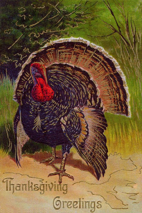 Vintage Thanksgiving Turkey Greeting Card - Victorian Era