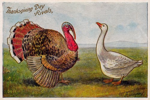 Vintage Thanksgiving Day Rivals Turkey & Goose Card