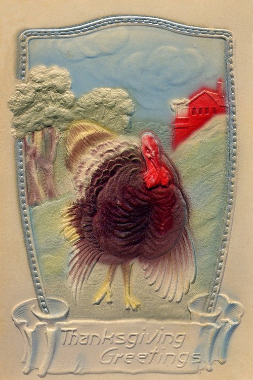 Vintage Thanksgiving Greeting Card with Wild Turkey & Farm House