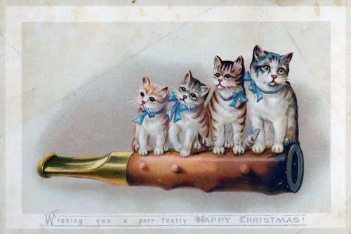 Victorian Christmas Kittens in Telescope - Whimsical Holiday Card