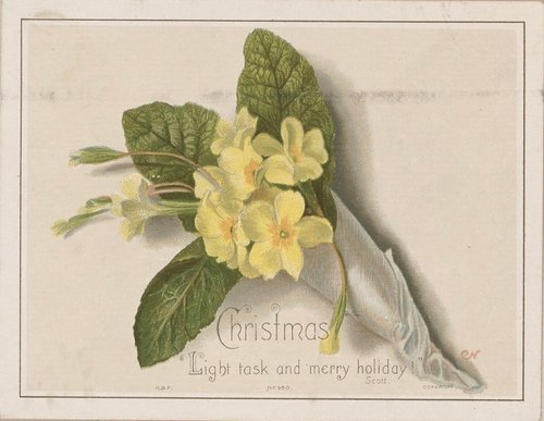 Victorian Christmas Greeting Card with Primrose Flowers