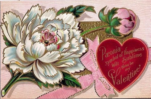 Victorian Peony Valentine Card with Embossed Heart, 1880s