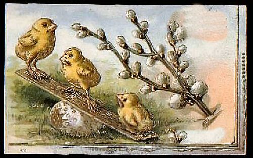 Victorian Easter Chicks Pussy Willow Greeting Card Chromolithograph