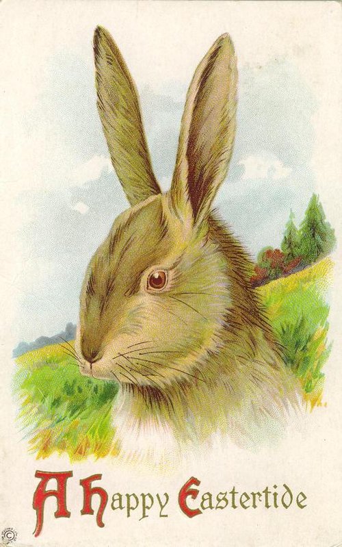 Vintage Easter Greeting Card with Charming Rabbit Illustration