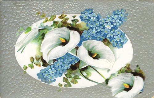 Victorian Calla Lilies & Forget-Me-Nots Greeting Card