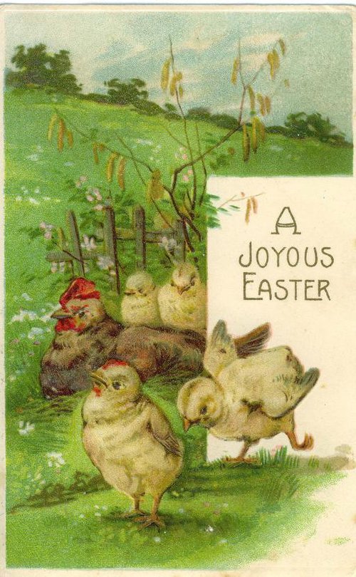 Vintage Easter Greeting Card with Anthropomorphic Chicks & Blossoms