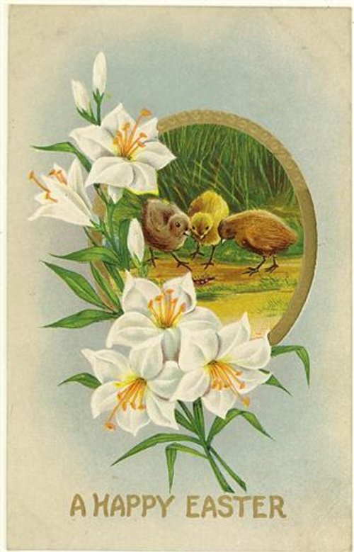 Victorian Easter Greeting Card with White Flowers & Baby Chicks
