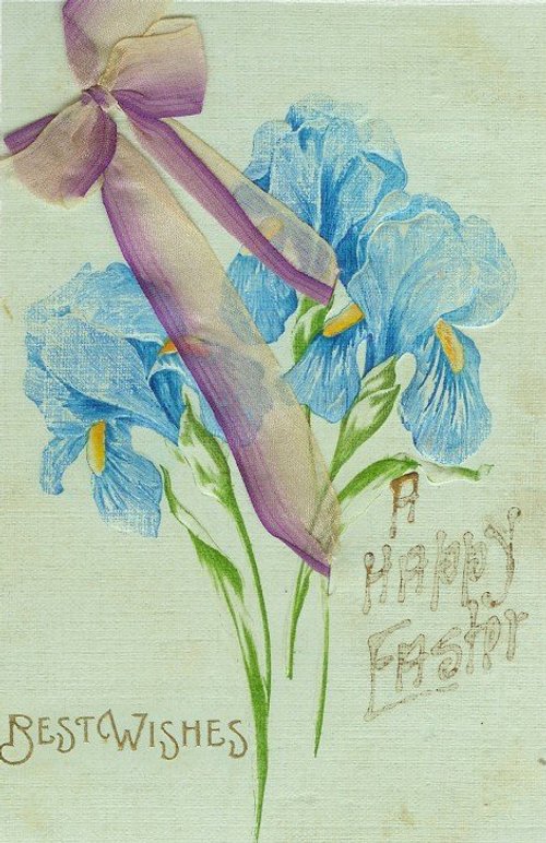 Victorian Blue Iris Flowers with Purple Ribbon Vintage Greeting Card