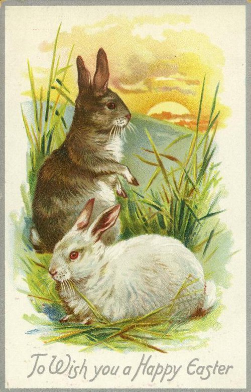 Vintage Easter Greeting Card with Rabbits - Early 1900s