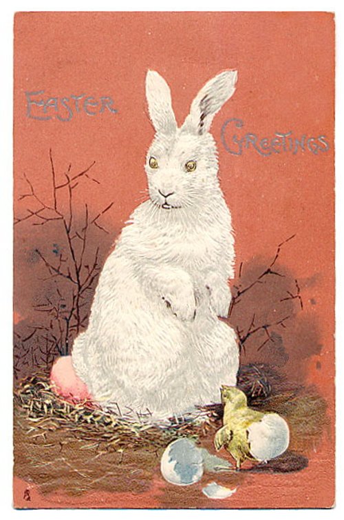Vintage Easter Bunny Greeting Card, Victorian Era White Rabbit