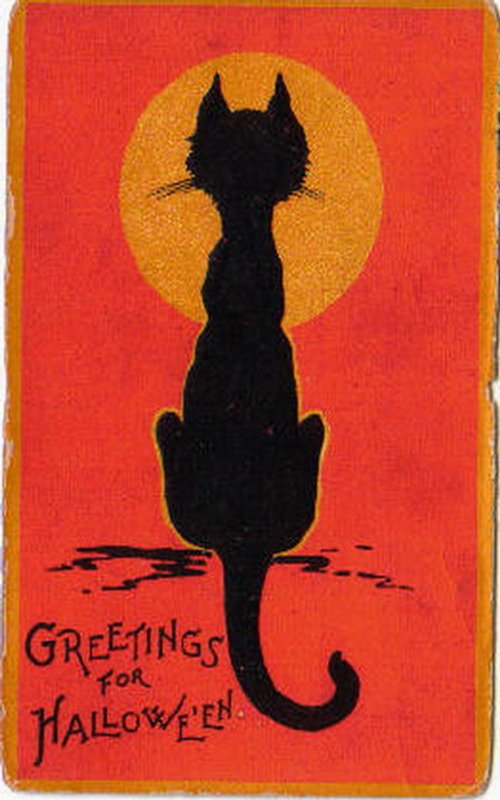 Vintage Halloween Black Cat Greeting Card, 1900s