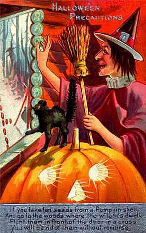 Vintage Halloween Precautions Witch Pumpkin Greeting Card