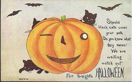 Vintage Halloween Jack-O'-Lantern Black Cats Greeting Card