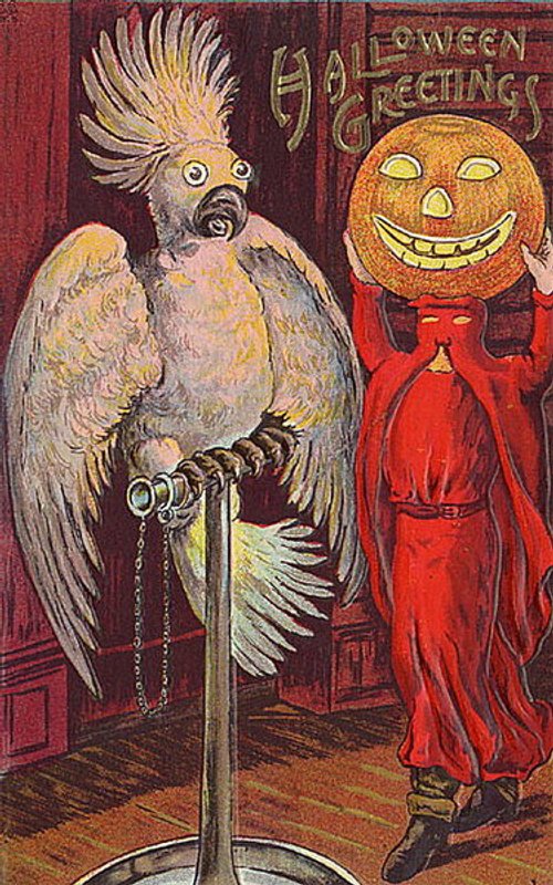 Vintage Halloween Greeting Card: Spooky Cockatoo & Jack O'Lantern