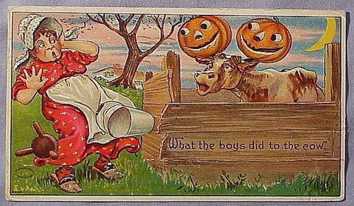 Vintage Halloween Greeting Card: Farmyard Prank Cow Jack-o-Lanterns